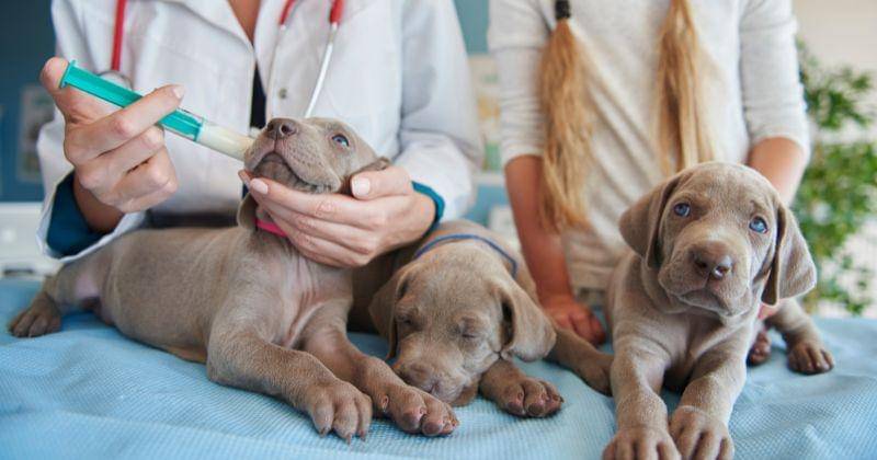 Freepik/gpointstudio